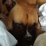 Profile Picture of Loretta Adkins Newman (@pinklady_92) on Instagram