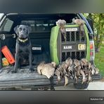 Profile Picture of Carter Watts (@Carter-Watts) on Facebook