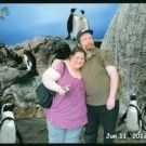 Profile Picture of Tammy Wainwright (@penginlvr4evr) on Pinterest