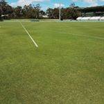 Profile Picture of Andrew Leak (@purps76) on Instagram