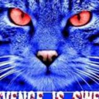 Profile Picture of Lynn Hurd (@foreverukfan) on Twitter
