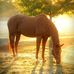 Profile Picture of Edward Oliphant (@edward.oliphant.75685) on Facebook