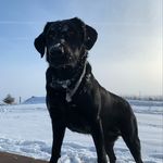 Profile Picture of Keith Obert (@obecon2) on Instagram