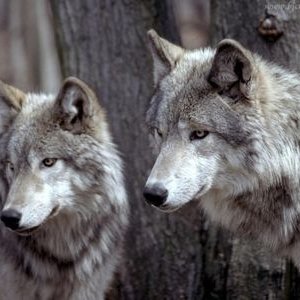 ElsaReynaRodriguezPo - Twitter Profile Picture of ElsaReynaRodriguezPo (@ElsaReynaRodr13) on Twitter