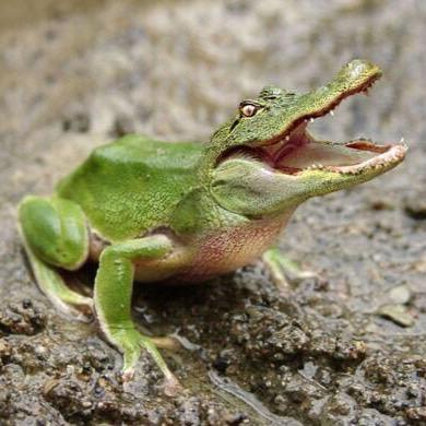 Profile Picture of Asım Yıldız (@rdck35) on Twitter