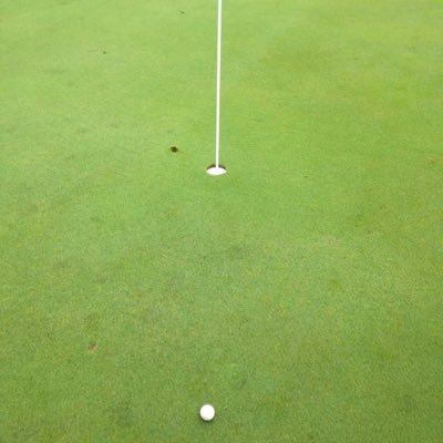 Profile Picture of Pat Baalmann (@BaalmannP) on Twitter