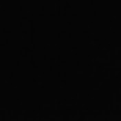 Adam Ventura - Youtube Profile Picture of Adam Ventura (@adamventura6178) on Youtube