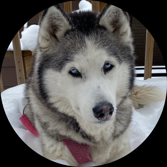 Profile Picture of Beth Mcgrath (@huskydog) on Poshmark