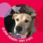 Veronica Ayers - Instagram Profile Picture of Veronica Ayers (@veronica_ayers_02) on Instagram