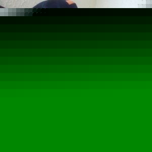 Profile Picture of Victor Lizardi Alvarado (@victor.lizardialvarado) on Myspace