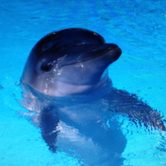 Profile Picture of Stepanie Fairburn (@poohbear123) on Poshmark