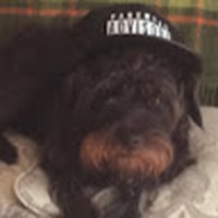Profile Picture of Nathaniel Mclean (@nathaniel-mclean-7) on Quora