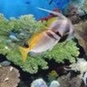 Profile Picture of Hironori Nishihata (@hironorinishihata2780) on Youtube