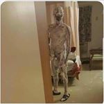 Profile Picture of Luis Zegarra (@yung_drilla29) on Instagram