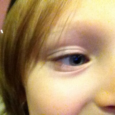 Profile Picture of Mark Harrelson (@HarrelsonMark) on Twitter