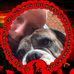 Profile Picture of Matthew Bulmer (@matthew.bulmer.9) on Facebook