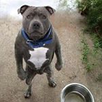 Profile Picture of Brett (@plottman718) on Instagram