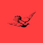 Profile Picture of HONORS (@honorsmusic) on Instagram