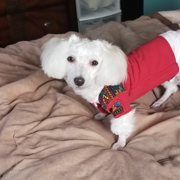 Profile Picture of Cristobal Ortiz ramos (@cristobal_o) on Poshmark