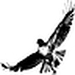 Profile Picture of Richard O'halloran (@4hawk4) on Flickr