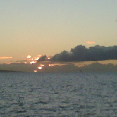 Profile Picture of Michelle Gest (@3lilaggs) on Twitter