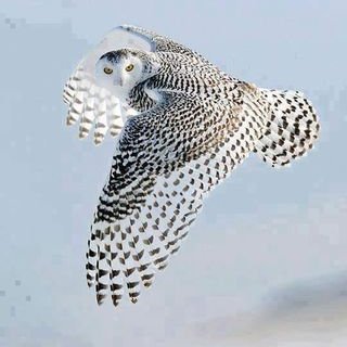 Jacob Weese - Twitter Profile Picture of Jacob Weese (@j2t20w1989) on Twitter