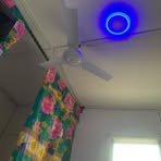 Profile Picture of Lobie David (@Lobie-David) on Facebook