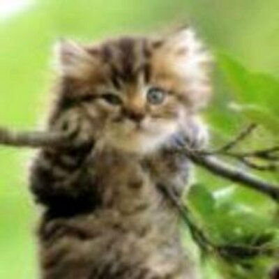 Gene Ruiz - Twitter Profile Picture of Gene Ruiz (@GeneRuiz5) on Twitter