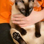 Profile Picture of Sova (@sovafalshawnta) on Instagram