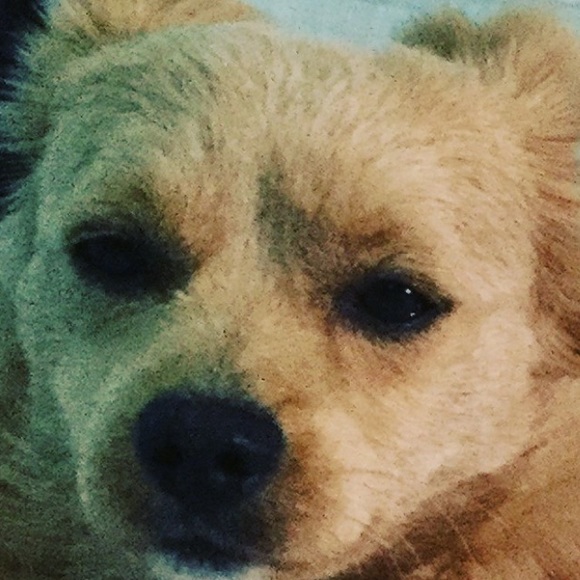 Profile Picture of Erick Salgado (@cooper_pooper) on Poshmark