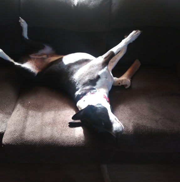 Profile Picture of Brian Roque (@brianjoeroque) on Poshmark