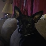 Profile Picture of Troy Grimmett (@troygrimmett) on Instagram