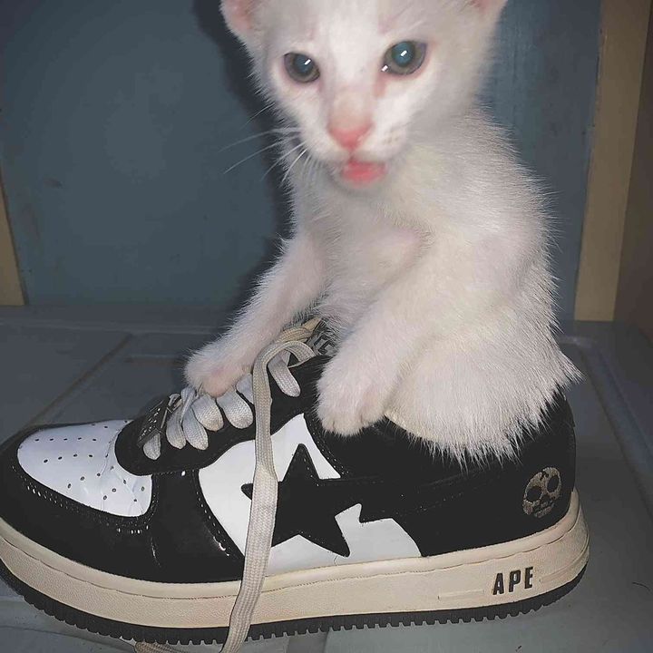 Profile Picture of Michael Ridenour126 (@michaelridenour12) on Tiktok