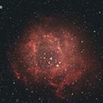 Wayne Tracy Parker - Instagram Profile Picture of Wayne Tracy Parker (@waynetracyparker) on Instagram