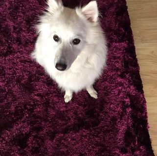 Profile Picture of ShirleyAnne Macpherson (@shirleyanne.macpherson) on Facebook