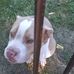 Profile Picture of Bobbie Square (@bobbie.square.737) on Facebook