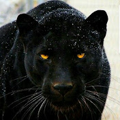 Profile Picture of Al Parker (@alparker1970) on Youtube