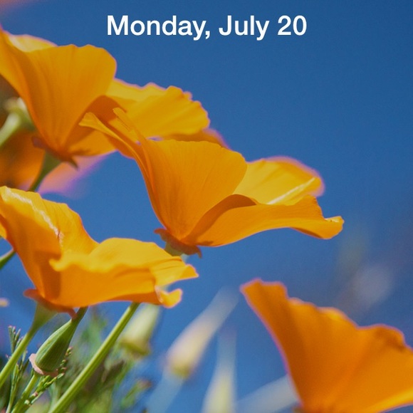 Profile Picture of Amber Umbaugh (@umbaugh) on Poshmark