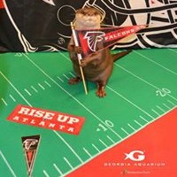 Chris Tillman - Quora Profile Picture of Chris Tillman (@chris-tillman-3) on Quora