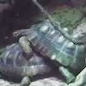 Profile Picture of Stephen Frueh (@everythinggrand) on Myspace