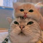 Profile Picture of Jessica Devis (@jesicadevis098) on Facebook