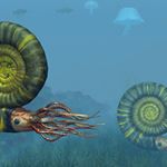 Profile Picture of Meredith Marks (@ammonoidea24065) on Instagram