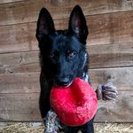 Profile Photo of Kim Stanford (@stanfordmalinois) on Instagram