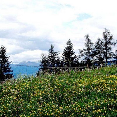 Profile Picture of Xavier Hassler (@hassl_j) on Twitter