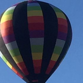 Profile Picture of Tracie Burcham Soptelean (@tracies33) on Pinterest