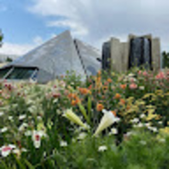 Profile Picture of Gillian Cook (@gcook74) on Poshmark