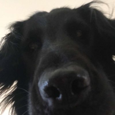 Profile Picture of Elvis Wagner-Fernandes (@elvisvahgnur) on Twitter