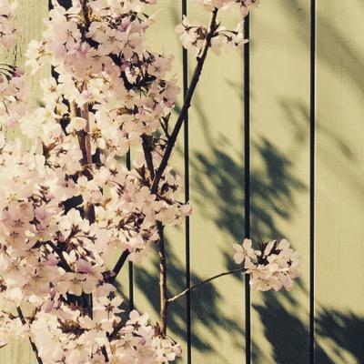 Profile Picture of Kerry Moore (@kerryamoore1) on Twitter