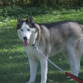 Profile Picture of Crystal Stephan (@crystal.stephan.10) on Facebook