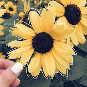 Profile Picture of Sandra Tinoco (@sandytinoco791012) on Youtube